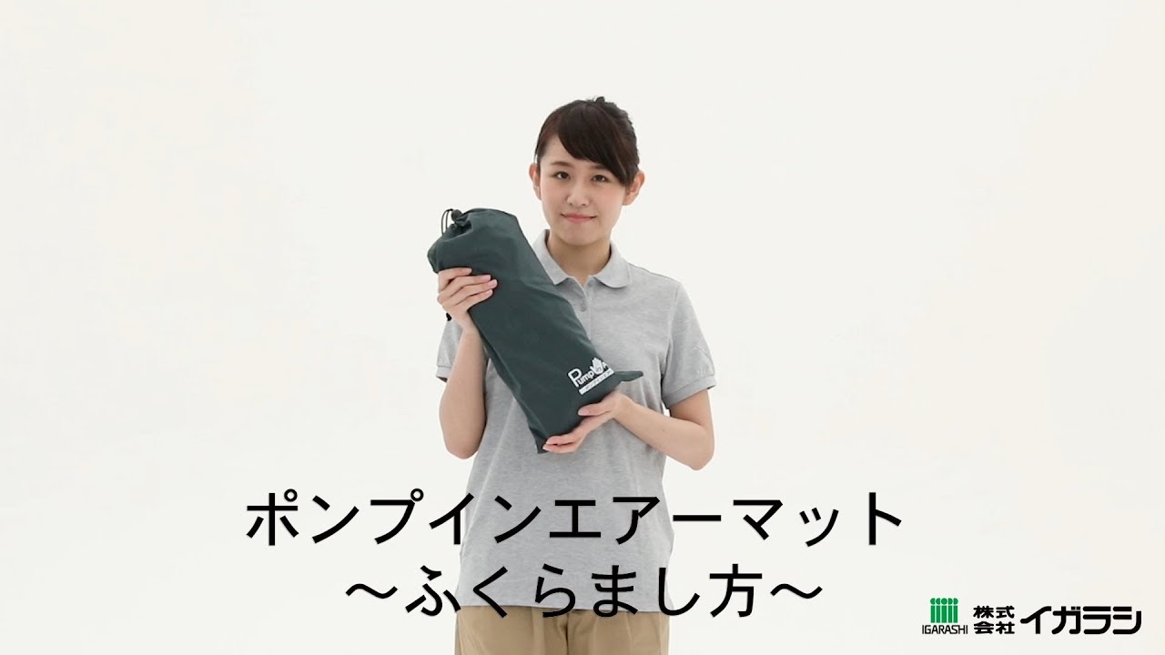 イガラシの折りたたみ簡易ベッドと ポンプインエアーマットのセット