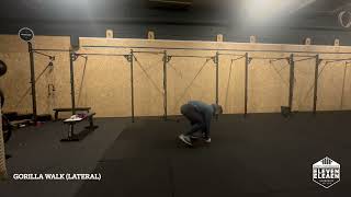Gorilla walk lateral