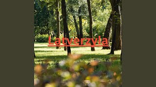 Nede_nede_ (Remix) #nedenede#boll