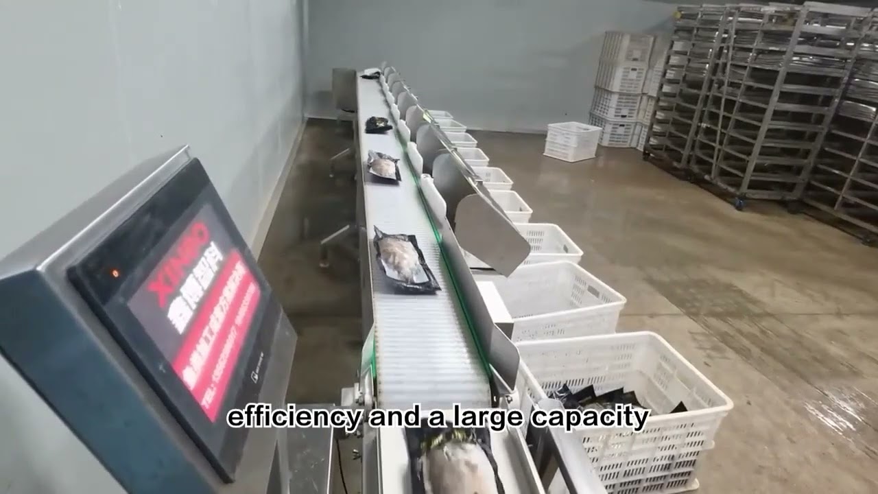 Weigh and sorting machine