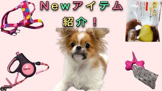 Newアイテム紹介。【ポメペキ】