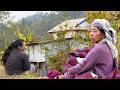 A glimpse into the tranquil country lifestyle  village life nepal  bijayalimbu