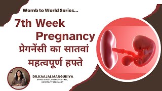 7Th Week Of Pregnancy Baby Development, Symptoms & Care Tips Must-Know Guide