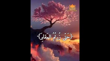 سورة التكاثر بصوت القارئ خالد الجليل