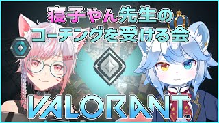 【VALORANT】コーチングは22時から!! 王子のVALORANT特訓【ネメア/VTuber】
