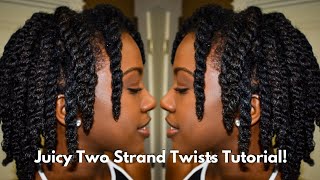 Juicy Two Strand Twists on Type 4 Natural Hair