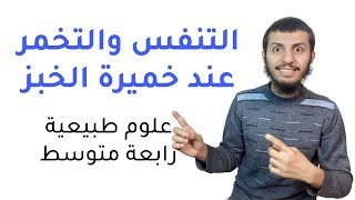 أتعرف على التنفس والتخمر عند خميرة الخبز علوم طبيعية رابعة متوسط | الدرس 10