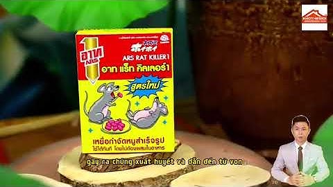 Thuốc diệt chuột thái lan hộp 80g