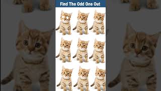 FIND THE ODD DOG OUT #4 ⚡🤡 #shorts #howgoodareyoureyes #puzzlegame #dog screenshot 4