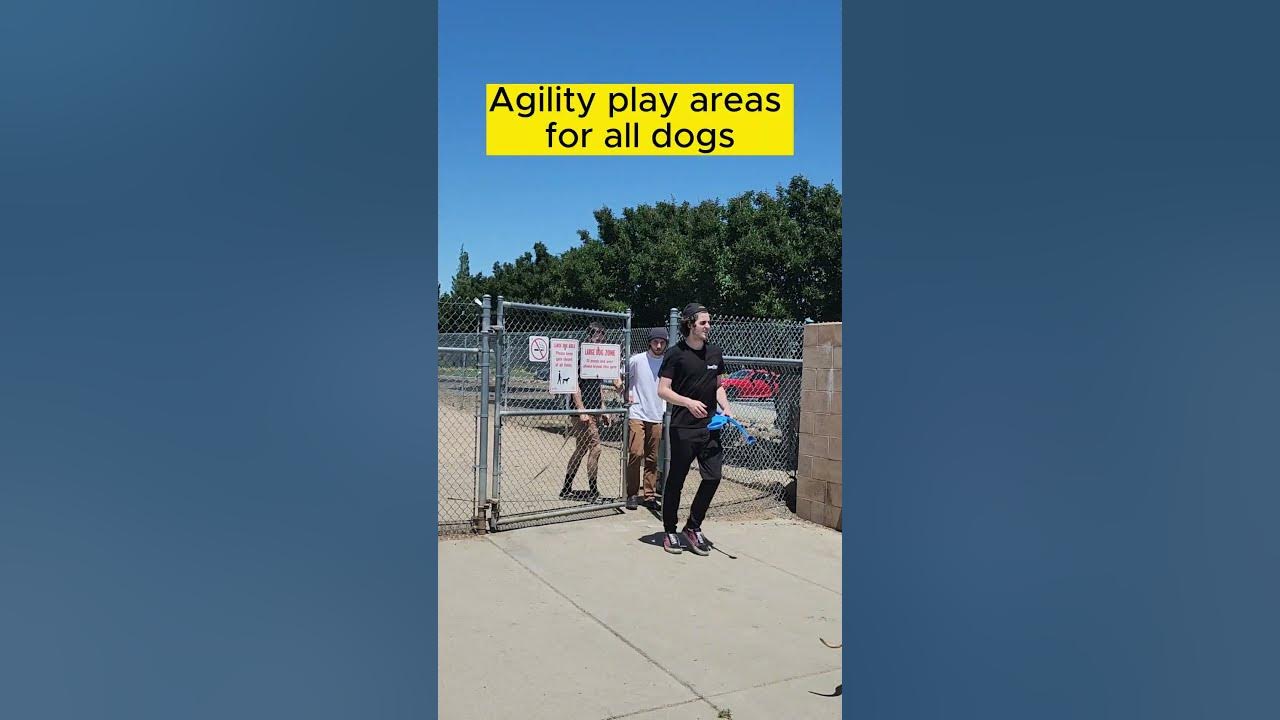Bear Dog Park located within Mahany Park Roseville California YouTube