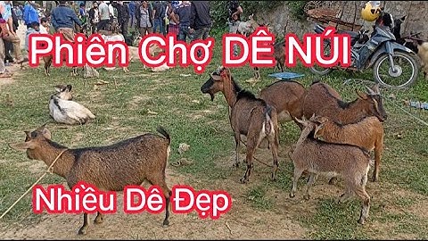 Phiên Chợ Dê, Chợ Cốc Ly - Bắc Hà - Lào Cai. phiên chợ  vùng cao độc đáo