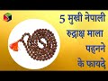 5 mukhi nepali rudraksha mala ll 5           ll