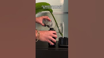 Aroma360 | Davinci360