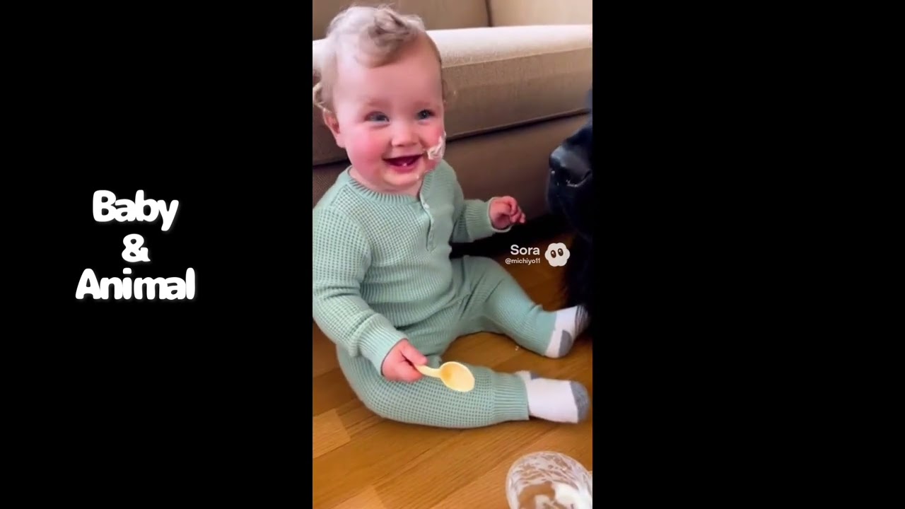 Baby＆Dog👶　#dog #baby