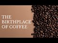 History Of Kenya Coffee, The Birthplace of Coffee