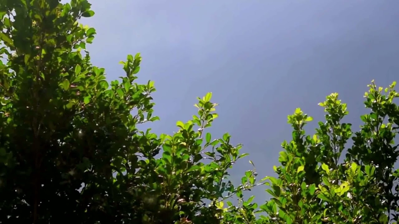 ( لَا يُؤَاخِذُكُمُ اللَّهُ بِاللَّغْوِ فِي أَيْمَانِكُمْ وَلَٰكِنْ يُؤَاخِذُكُمْ بِمَا  .......) ٨٩