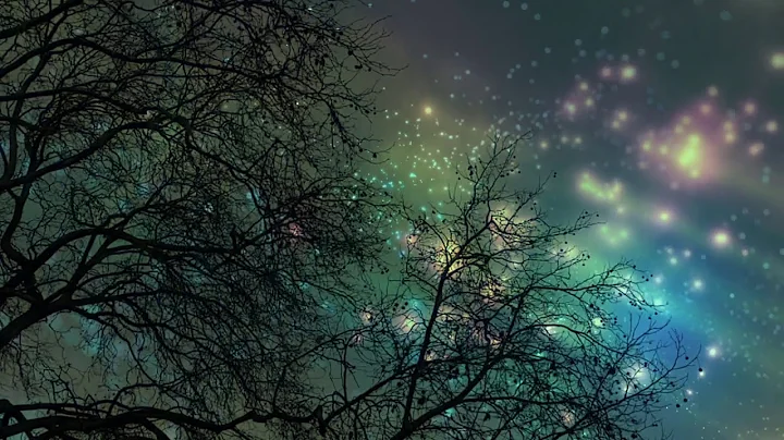 Matthew Jennings - Christmas Koto (Full album visu...