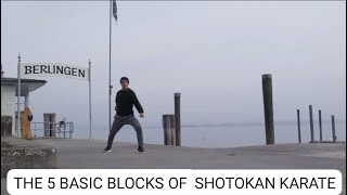 The 5 basic blocks of Shotokan Karate: Gedan-barai, Soto-uke, Uchi-uke, Age-uke, Shuto-uke.