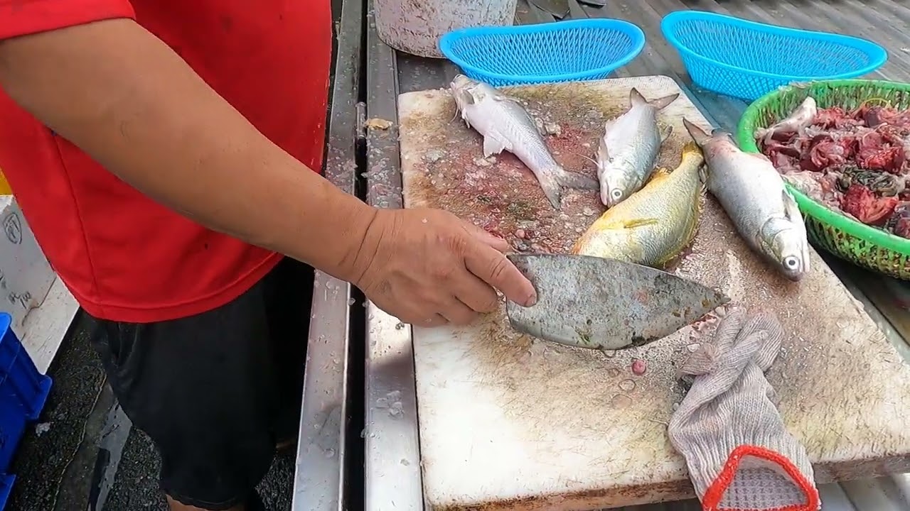 use tool to  cut and clean yellow croaker and Fourfinger threadfin