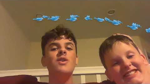 editing crud by the vanderbros