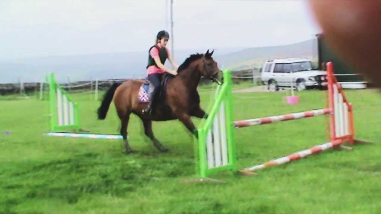 Gridwork jumping with my horse