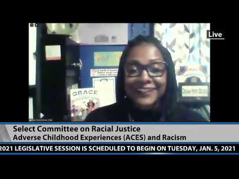 House Select Committee on Racial Justice - Sept. 29