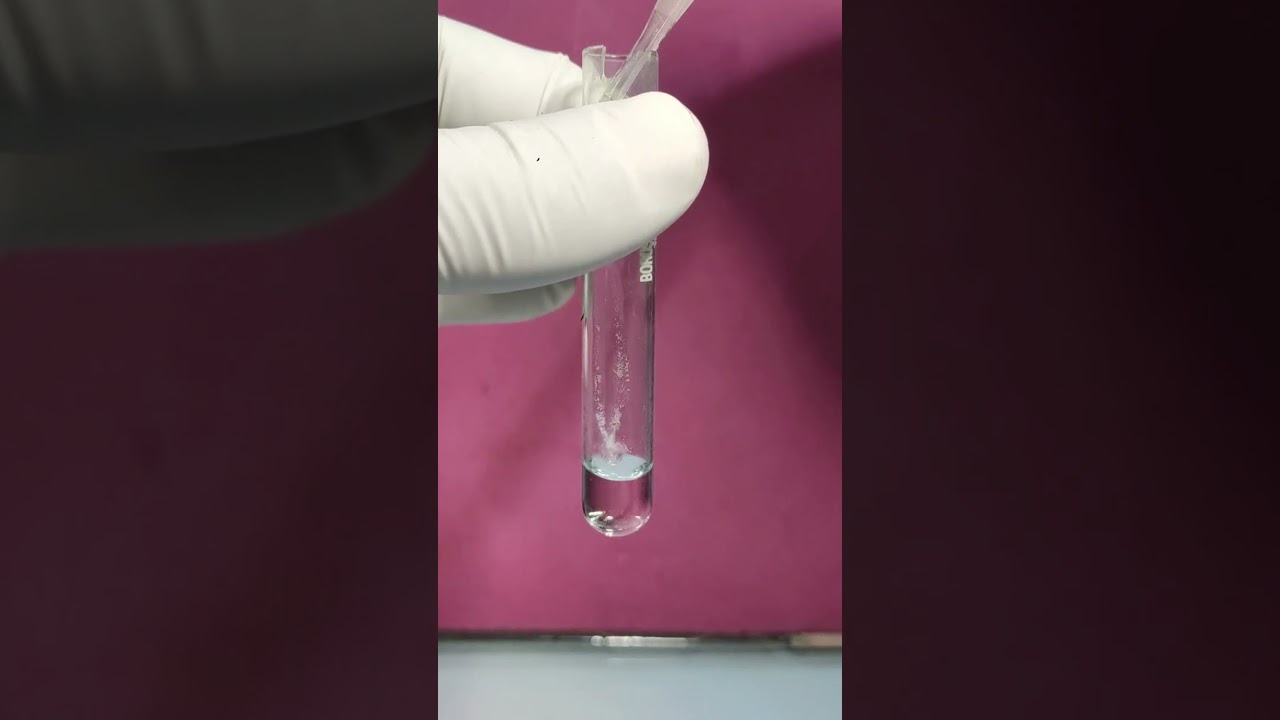 Hydrochloric Acid And Sulfuric Acid Experiment