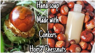 How To Make Hand Soap With Horse Chestnutsconkers