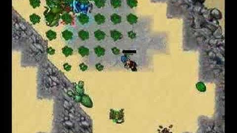 Tibia - Summer Update 2006