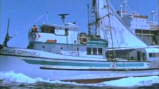 Greenpeace: Voyage to Save the Whales Trailer @MovingImages