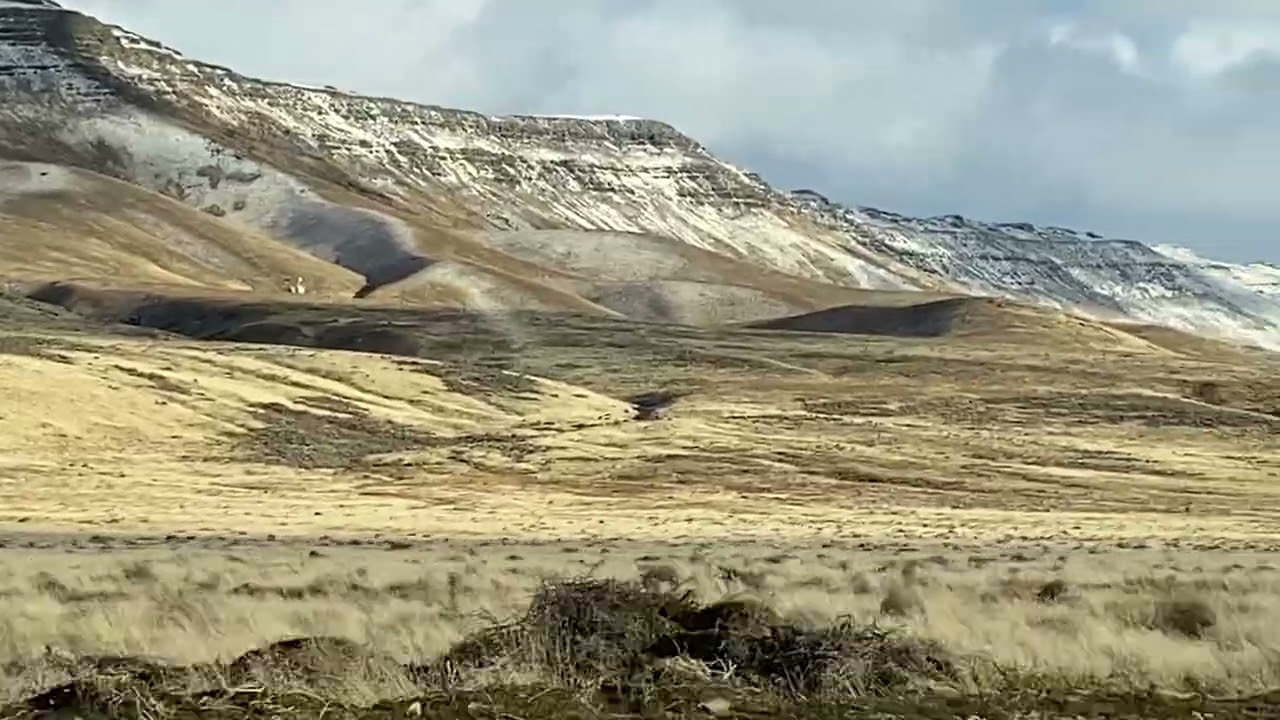 Feb 2026 property drive by