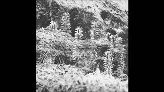 Acronym & Korridor - Untitled B1 - Untitled EP - [VAA03] - 2018