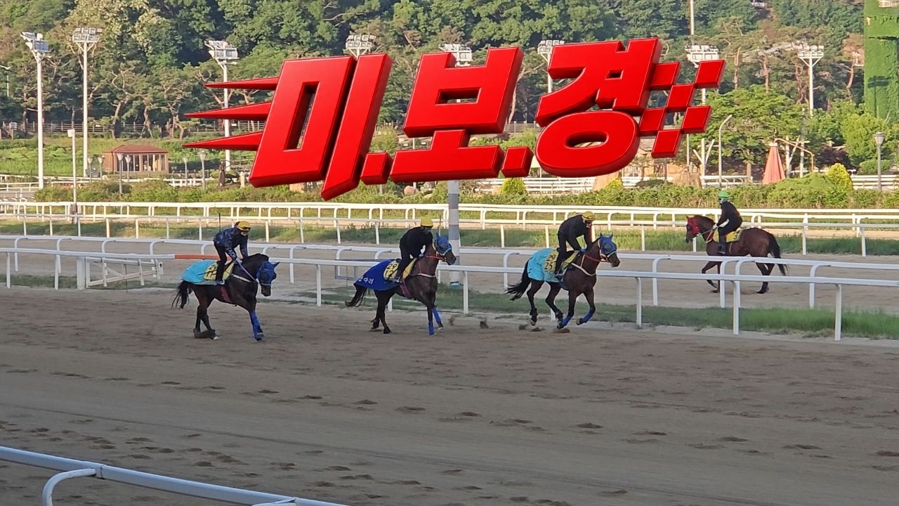[5월 4주 조교현장/유재필의 미.보.경] 미리 보는 경마~!