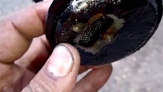Toyota Corolla (2NZ) engine oil bad condition/solution/@Nasir Autos