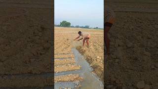 Desi chhora 🥷🔱💪#farming #desi #boy #shorts