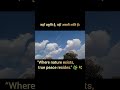 #naturecloud_skye