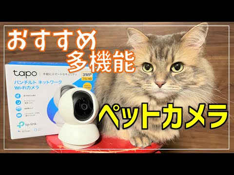 【ペットカメラ】留守中のペットの様子を見守りできるコスパ最強のカメラをレビュー!【tp-link Tapo C210】