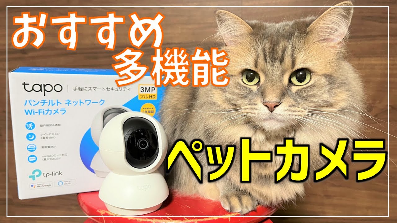 Pet Camera] Review of the best value camera for keeping an eye on