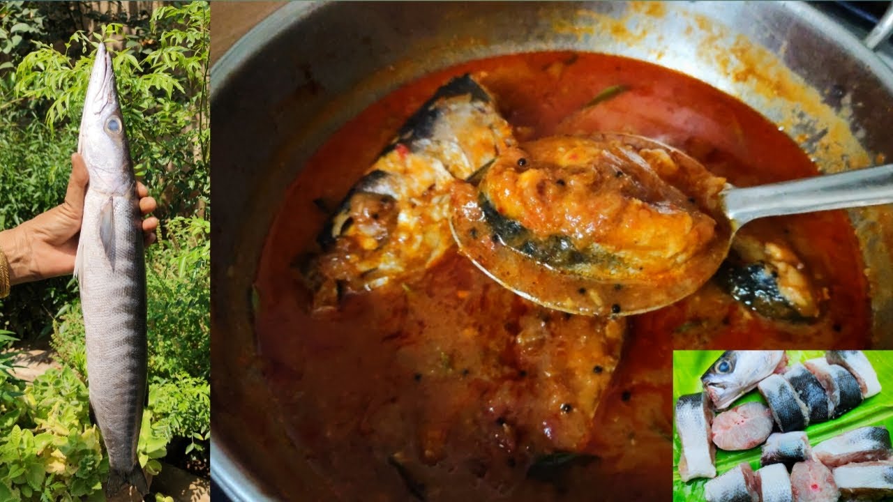 ஊளி மீன் குழம்பு ooli meen kulambu seivathu eppadi in tamil barracuda fish gravy 