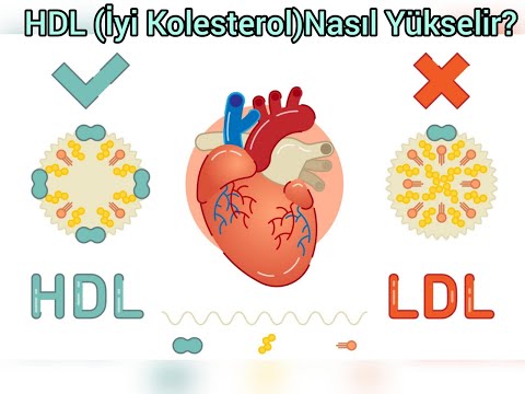 Video: HDL Kolesterol Düzeyleri Nasıl Yükseltilir: 10 Adım (Resimlerle)