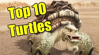 Pointless Top 10: Turtles in World of Warcraft