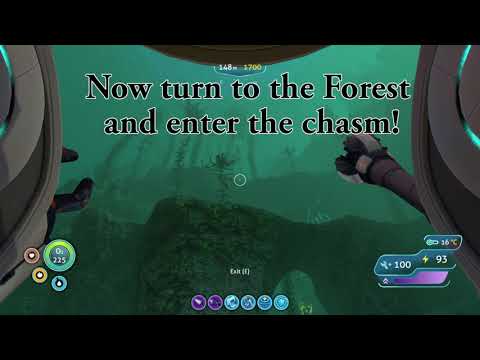 Subnautica: The Mushroom Forest Portal to the Cove Tree.