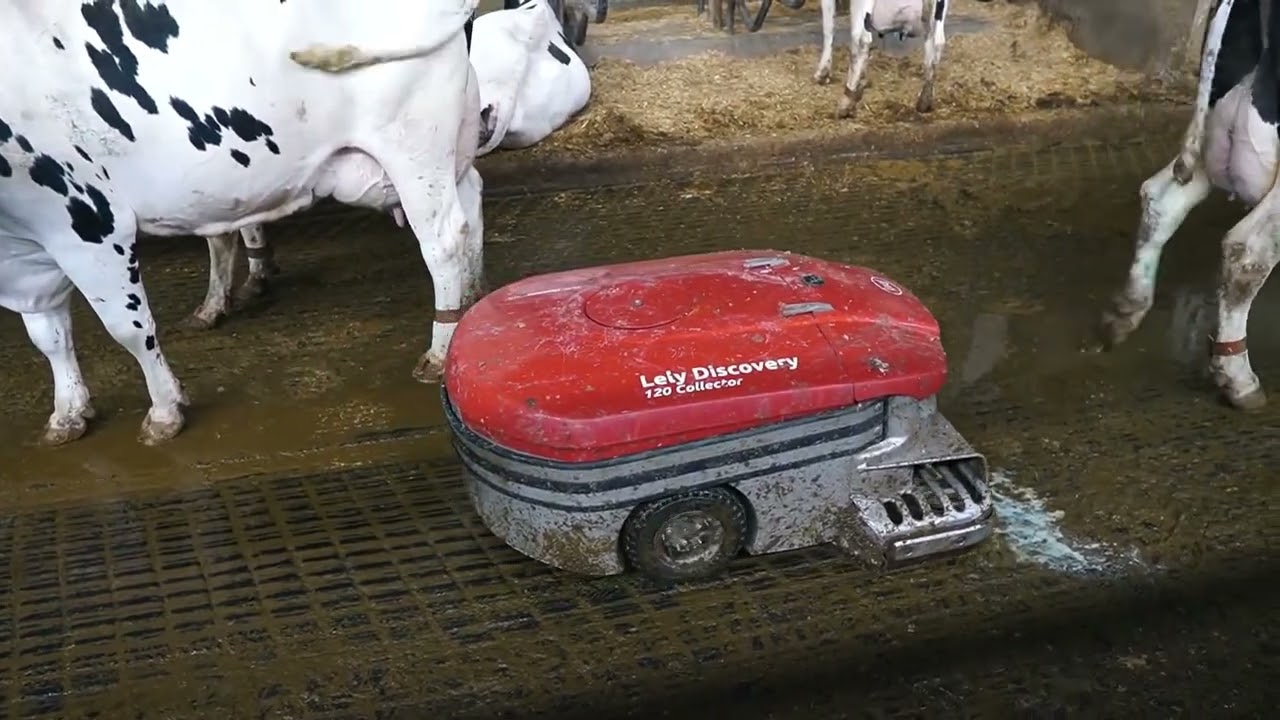 Cos'è cambiato dopo l'installazione del Lely Collector?