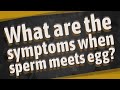 What are the symptoms when sperm meets egg?