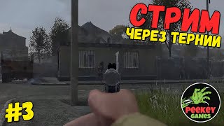 DayZ СТРИМ 3я серия \