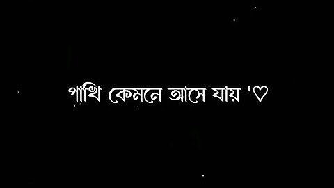 খাঁচার ভিতর অচিন পাখি || 𝐁𝐥𝐚𝐜𝐤 𝐬𝐜𝐫𝐞𝐞𝐧 𝐋𝐲𝐫𝐢𝐜𝐬 𝐒𝐨𝐧𝐠 𝐗𝐦𝐥 | 🔥📩  || 𝐛𝐥𝐚𝐜𝐤 𝐬𝐜𝐞𝐞𝐧 𝐱𝐦𝐥 ||