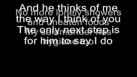 Blink 182 My Pet Sally Lyrics