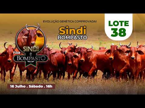 LOTE 38 - NUVEM BOMPASTO