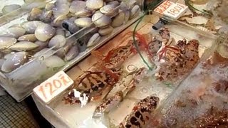 Seafood 'wet' market stalls at wanchai market, hong kong with
everything alive, fresh and jumping about.