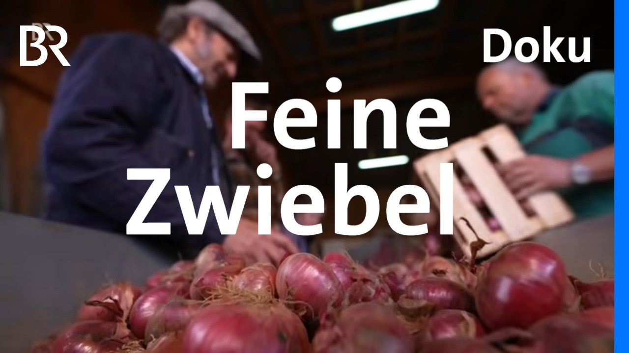 Zwiebelsorten und Rezepte: Der Schmidt Max und die Zwiebel | freizeit | BR